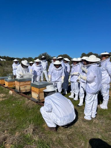 Visita a las colmenas de Mamen